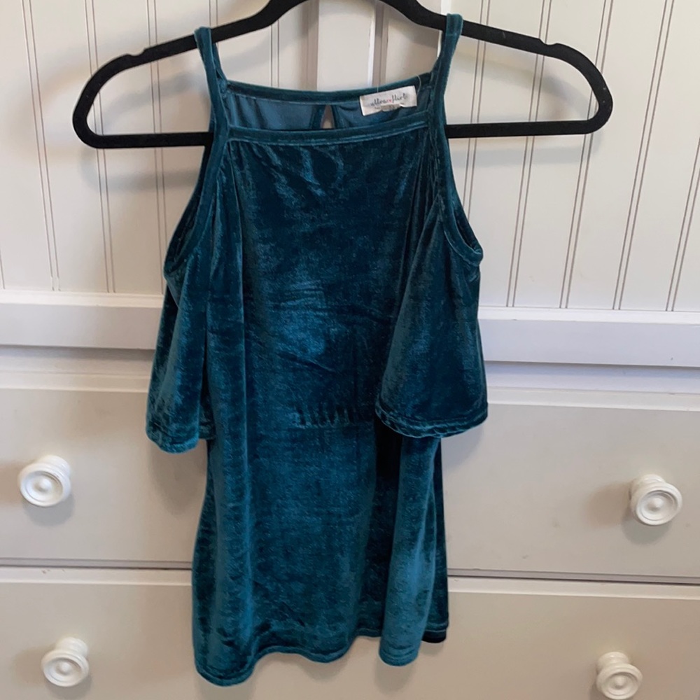 Velvet short sleeve top